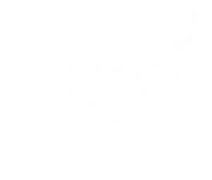 FLIGHT 300 7V7